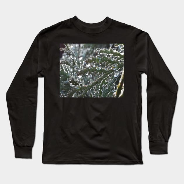 Dew drops Long Sleeve T-Shirt by robelf